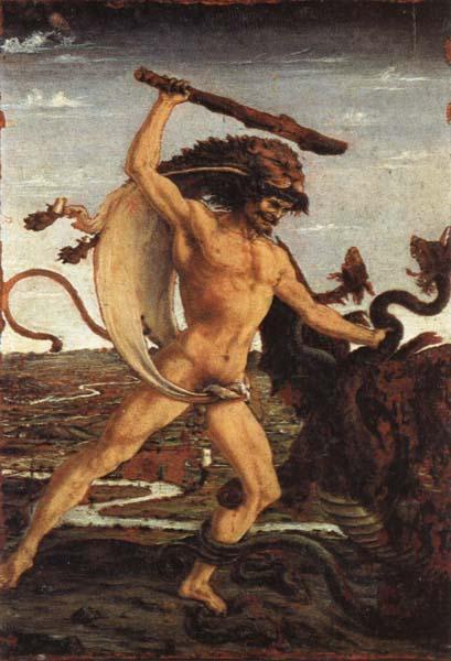 Antonio Pollaiolo Hercules and the Hydra oil painting image